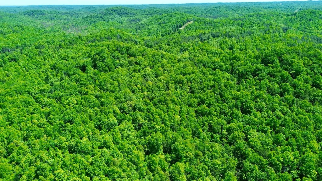 16 Coal Camp Road Hitchins KY 41146