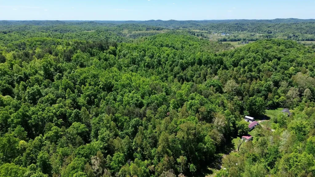 16 Coal Camp Road Hitchins KY 41146
