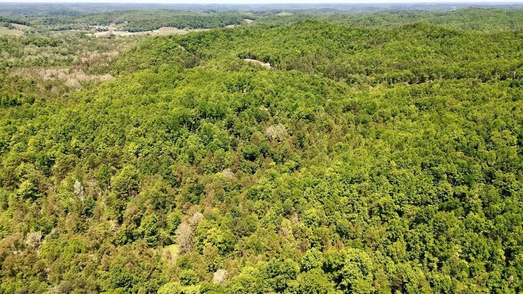 16 Coal Camp Road Hitchins KY 41146