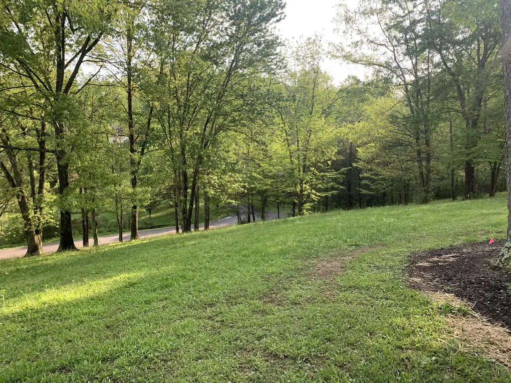 157 Orchard Lane Corbin KY 40701