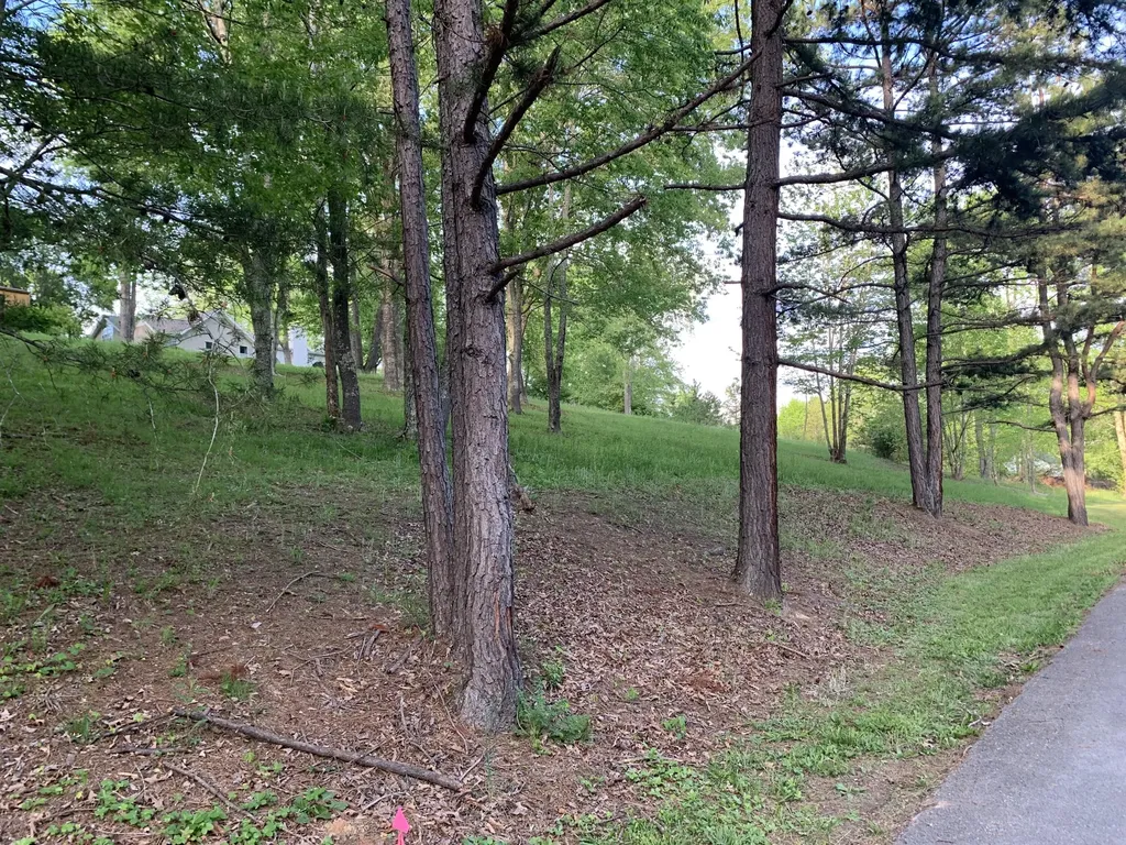 157 Orchard Lane Corbin KY 40701