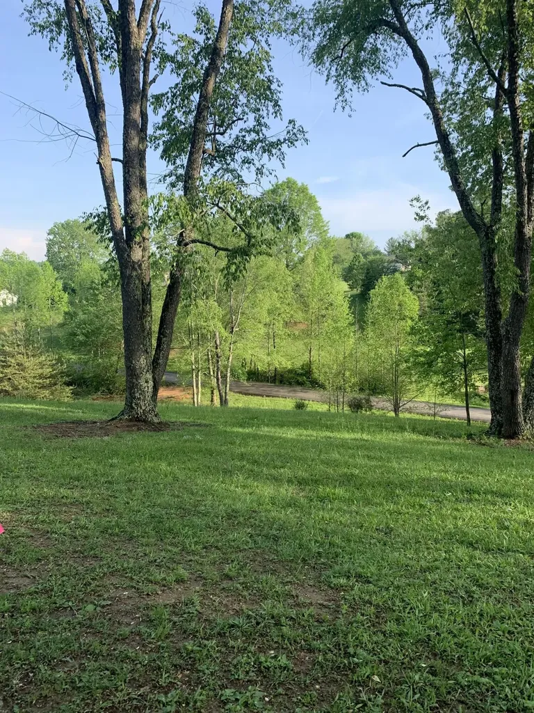 157 Orchard Lane Corbin KY 40701