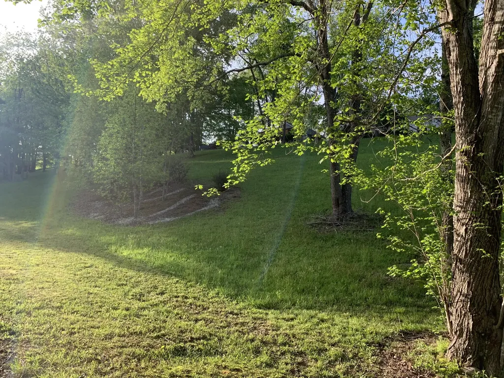 157 Orchard Lane Corbin KY 40701