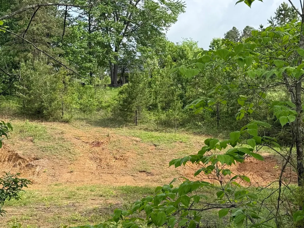 9999 Cherry Grove #lot 12 Way Corbin KY 40701