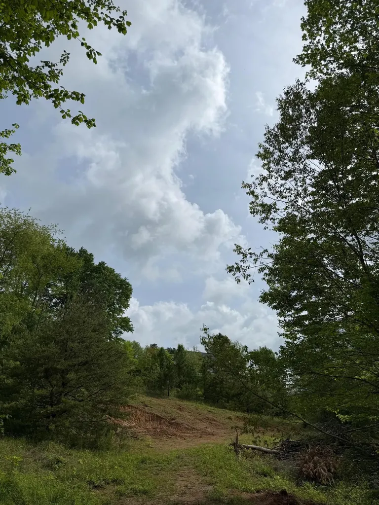 9999 Cherry Grove #lot 12 Way Corbin KY 40701