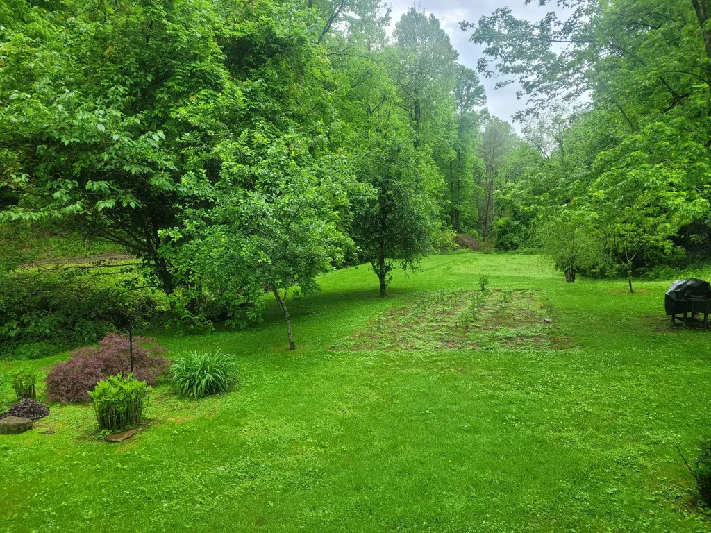523 Bullskin Branch Road Oneida KY 40972