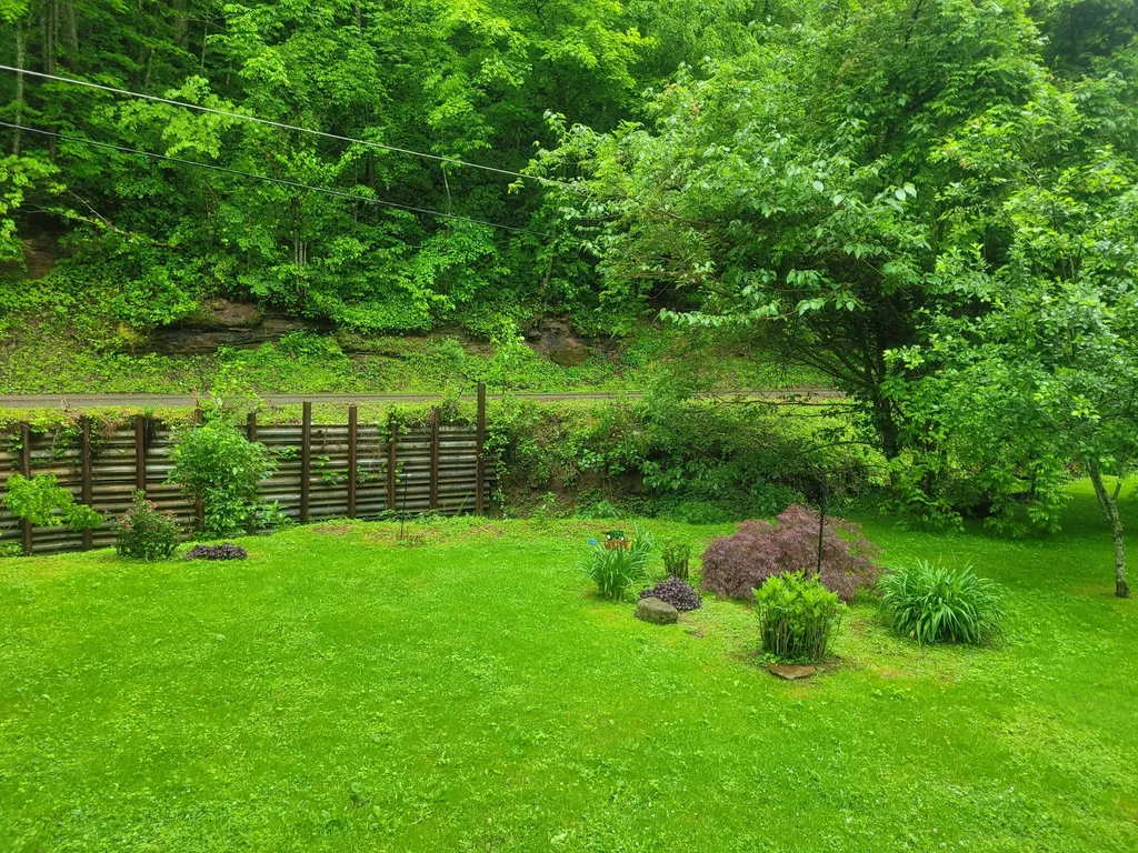 523 Bullskin Branch Road Oneida KY 40972