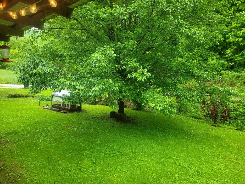 523 Bullskin Branch Road Oneida KY 40972