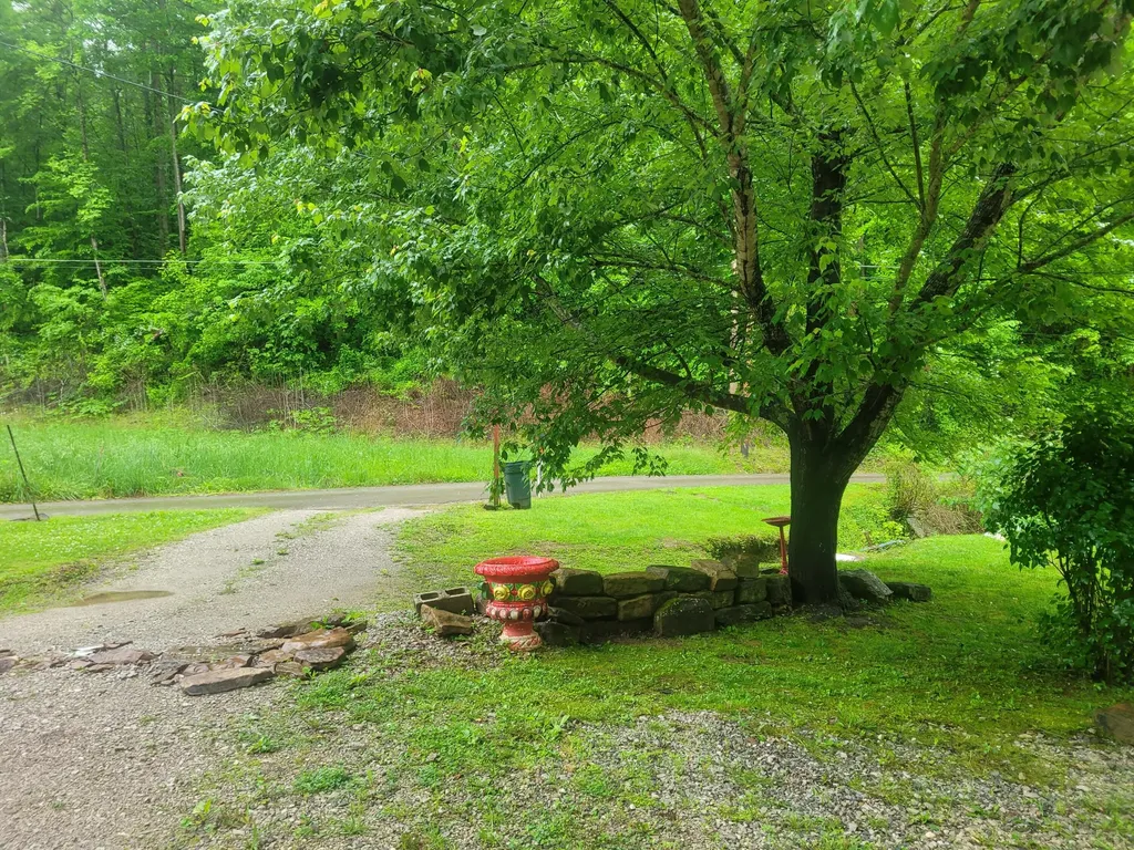 523 Bullskin Branch Road Oneida KY 40972