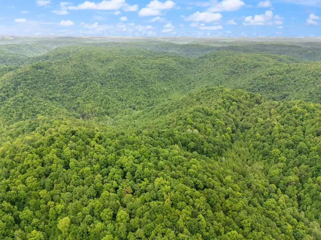 9999 Little Beech Creek Road Manchester KY 40962