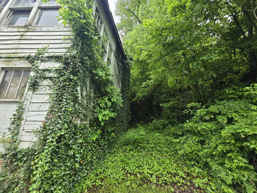 00 Key 66/hendron Hill Arjay KY 40902