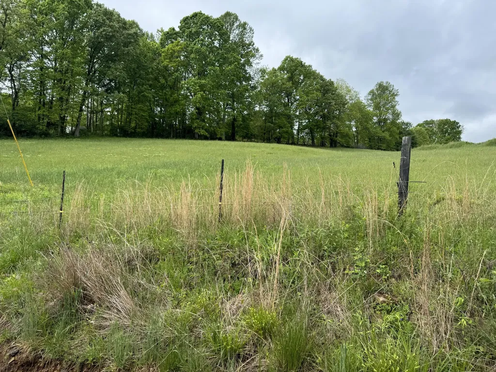 9999 Hensley Road East Bernstadt KY 40729