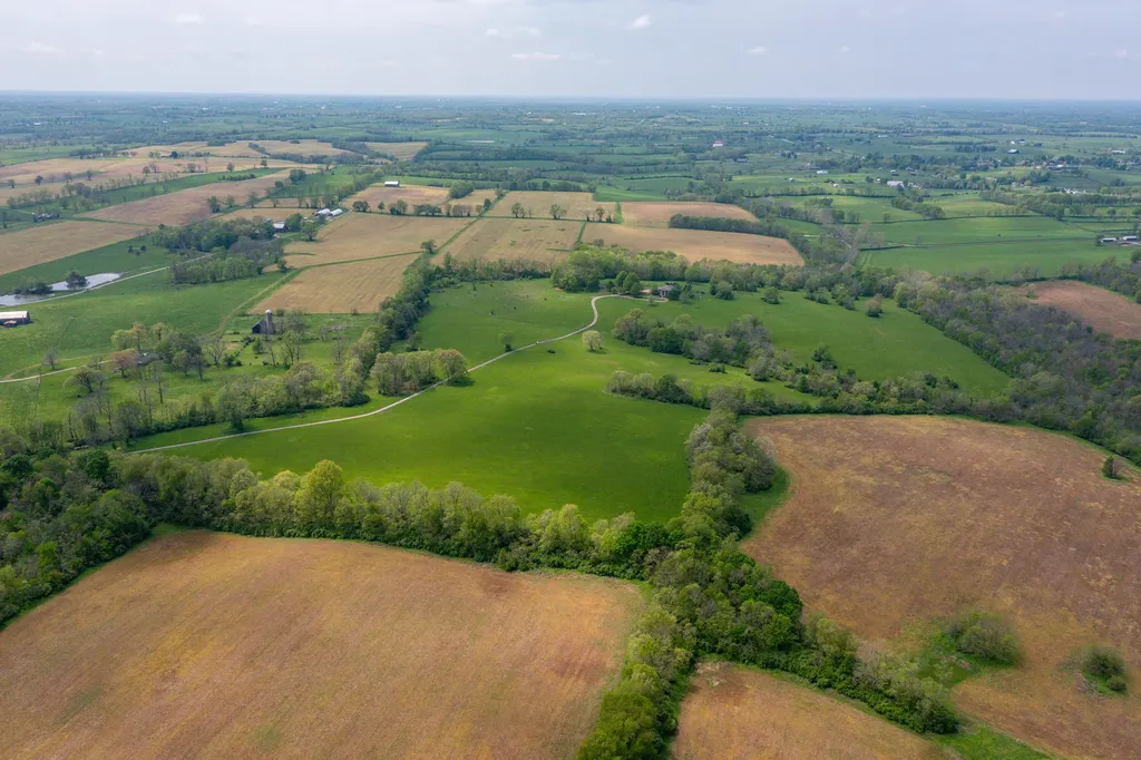 4440B Lexington Road Paris KY 40361