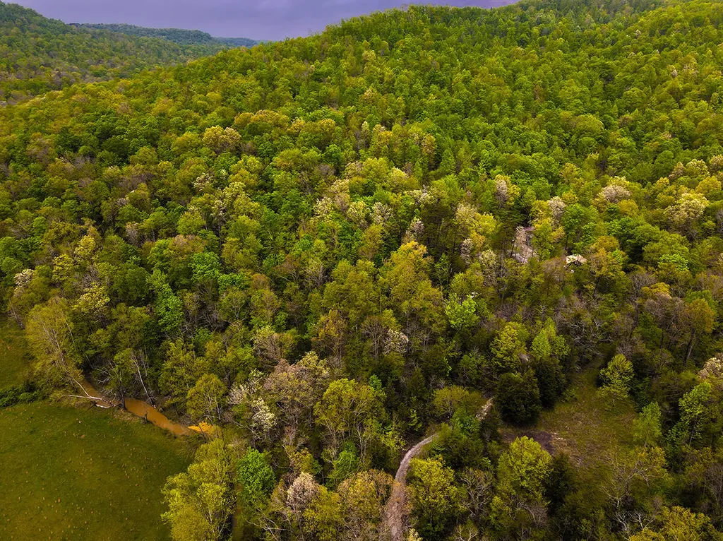 1958 Raleigh Creek East Road Monticello KY 42633