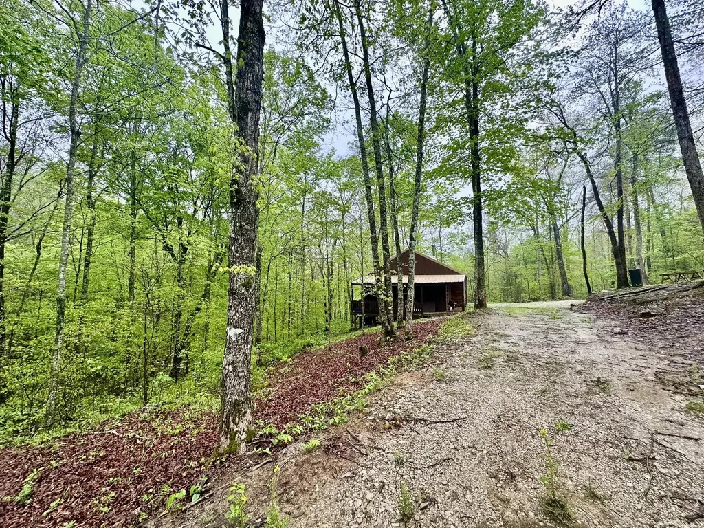 1958 Raleigh Creek East Road Monticello KY 42633