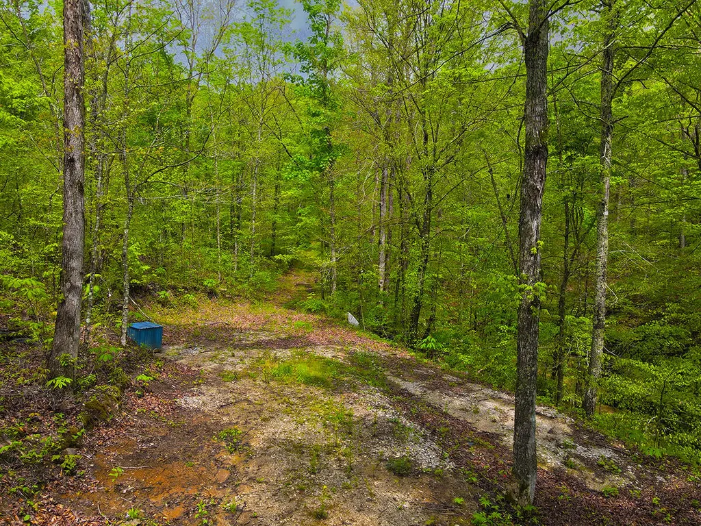 1958 Raleigh Creek East Road Monticello KY 42633