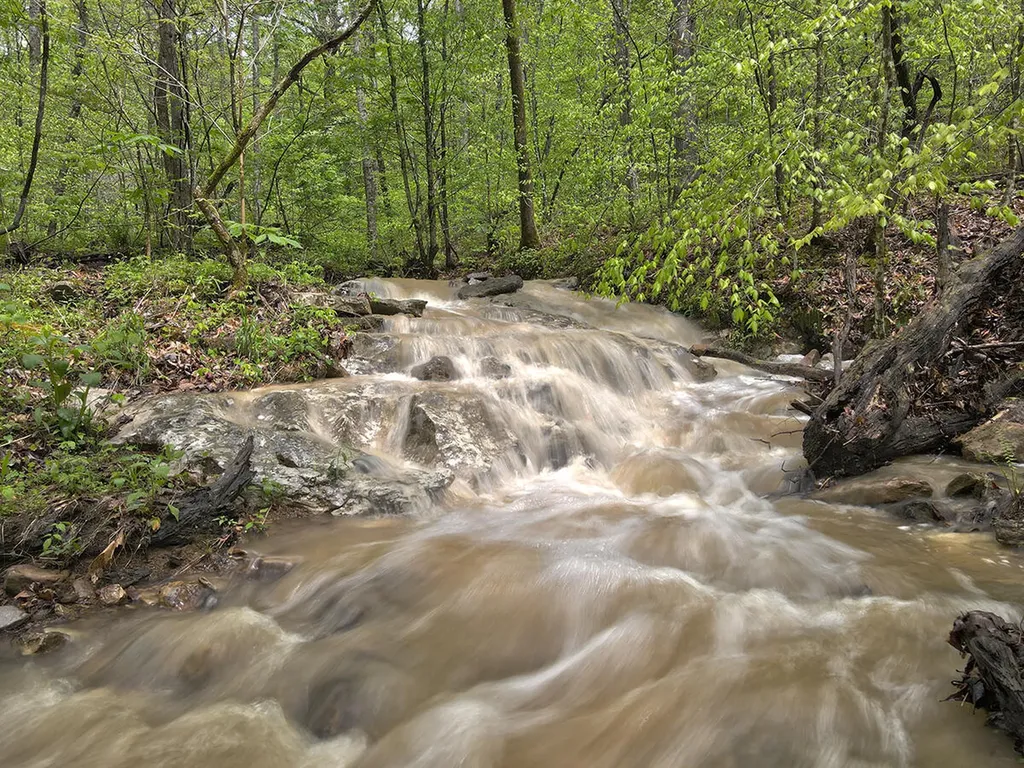 1958 Raleigh Creek East Road Monticello KY 42633