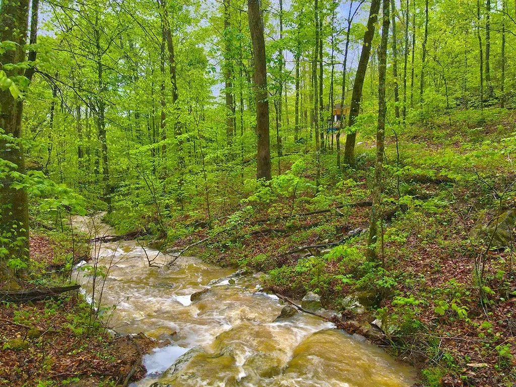 1958 Raleigh Creek East Road Monticello KY 42633