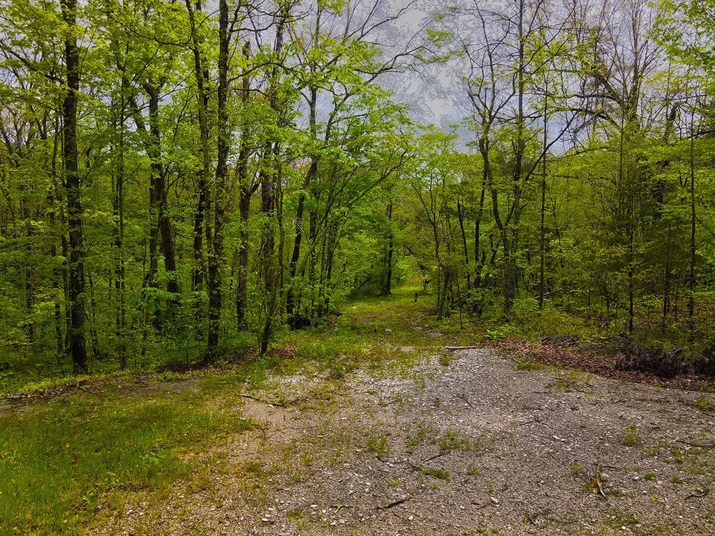1958 Raleigh Creek East Road Monticello KY 42633