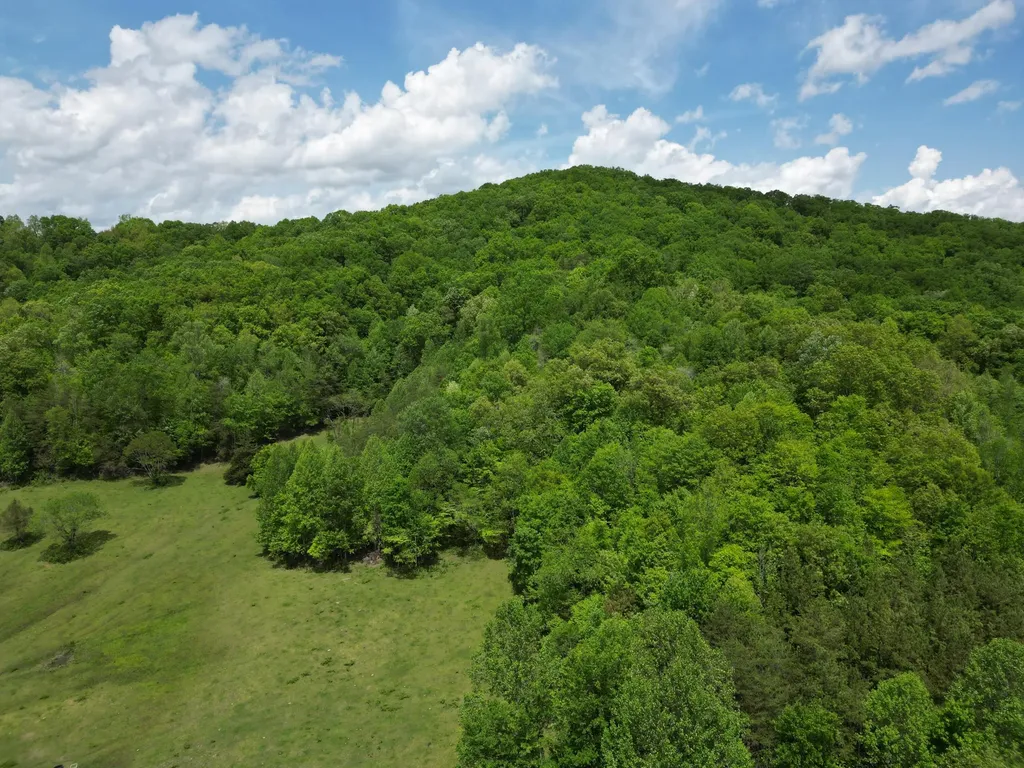 1111 Morris Lane Heidrick KY 40949
