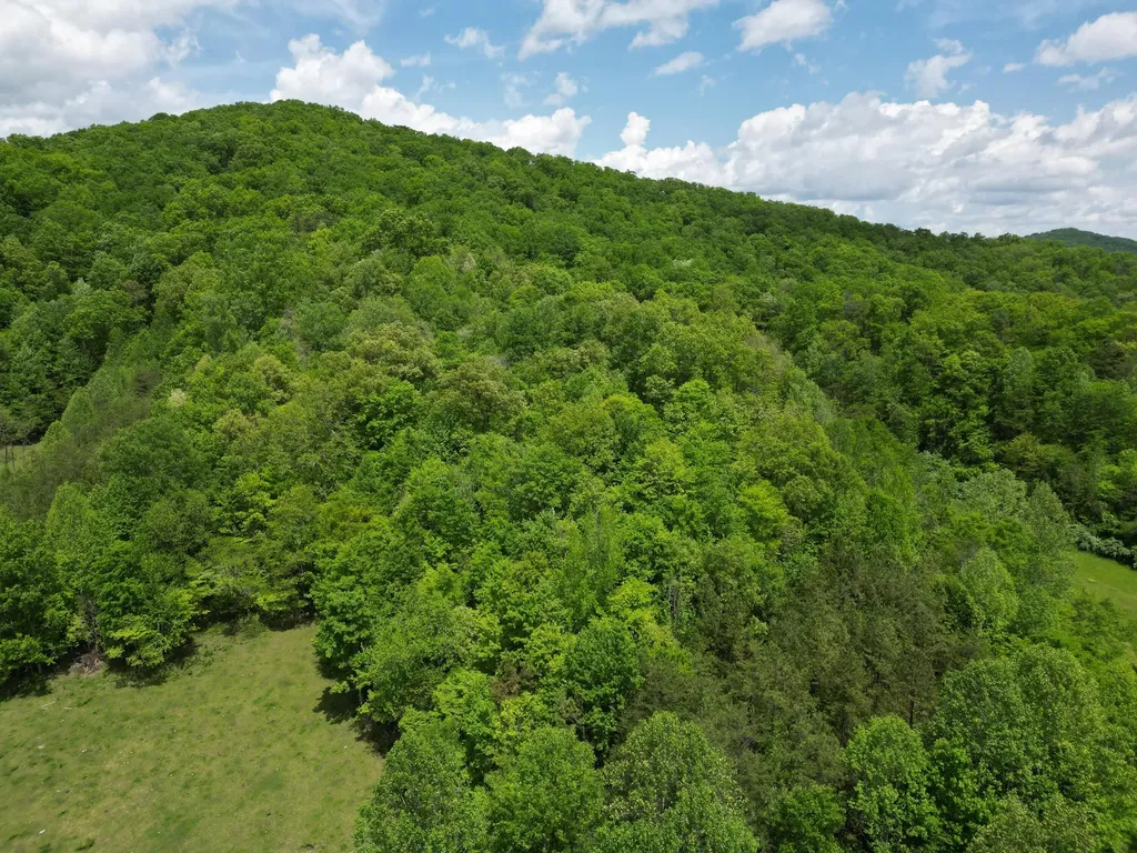 1111 Morris Lane Heidrick KY 40949