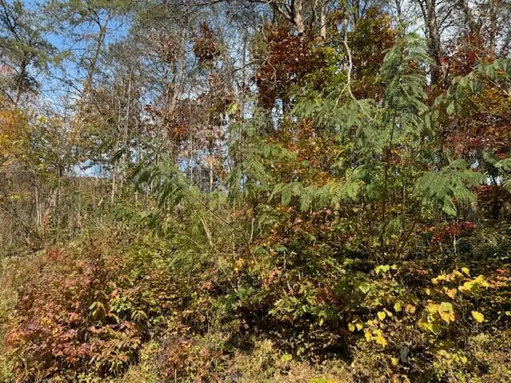 60 Conley Loop Baxter KY 40806