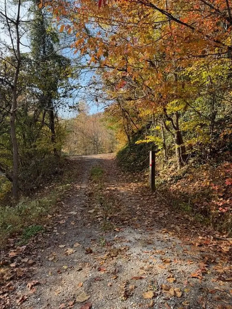 60 Conley Loop Baxter KY 40806