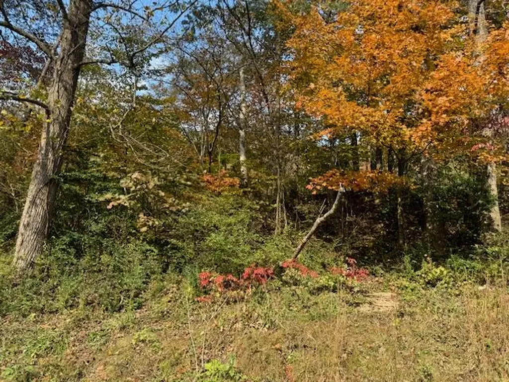 60 Conley Loop Baxter KY 40806