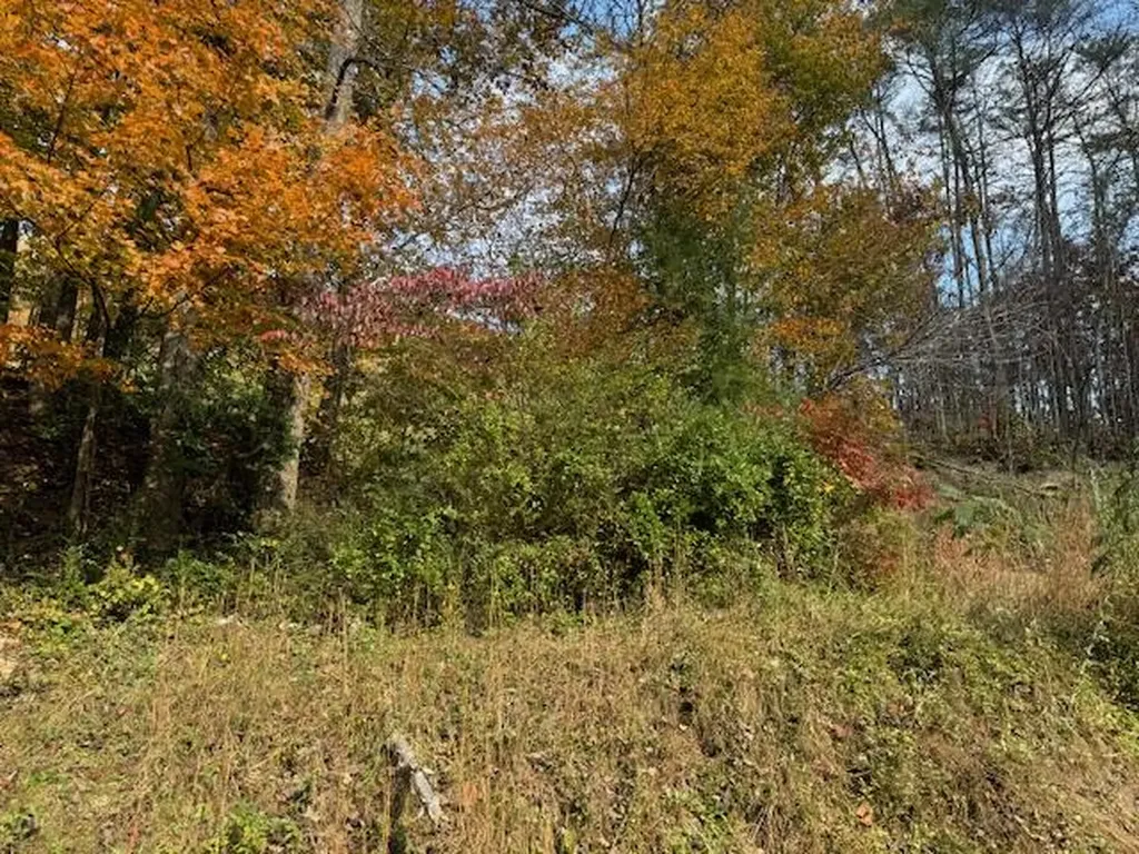 60 Conley Loop Baxter KY 40806
