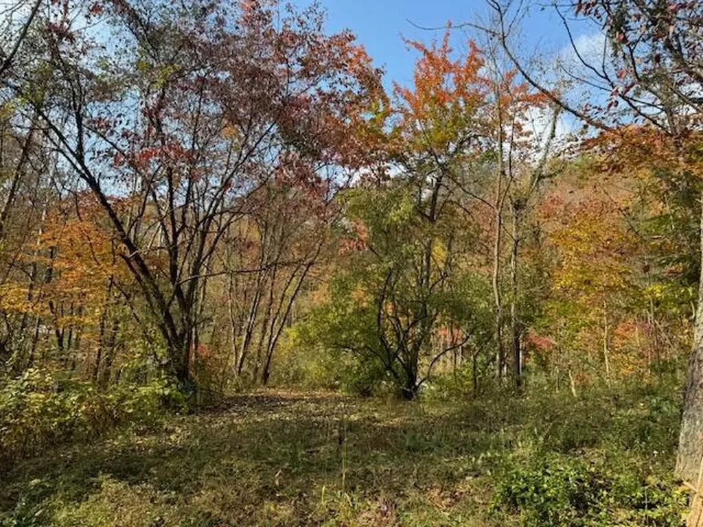 60 Conley Loop Baxter KY 40806