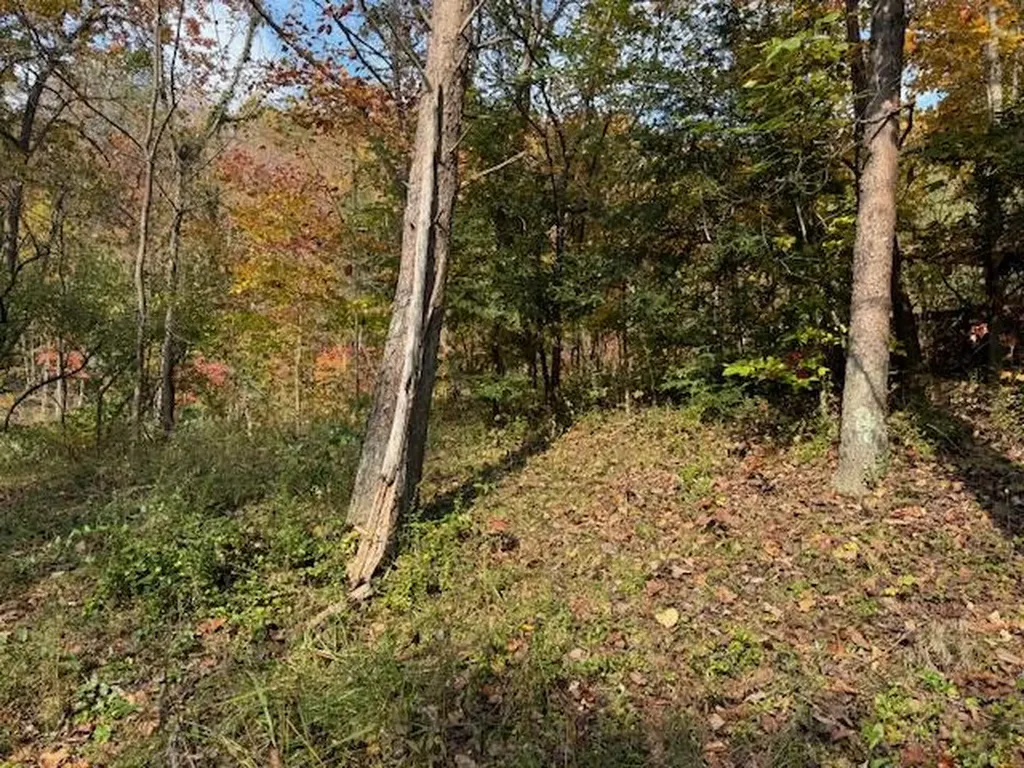 60 Conley Loop Baxter KY 40806