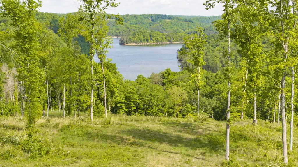 333 Acreyville Road Monticello KY 42633