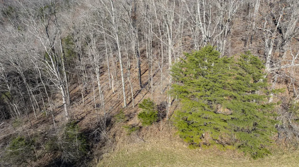 333 Acreyville Road Monticello KY 42633