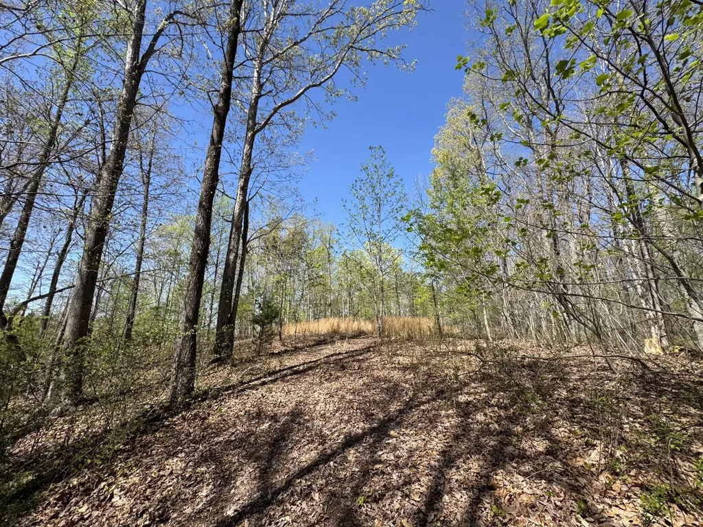 Lot 128 Sandstone Point Monticello KY 42633