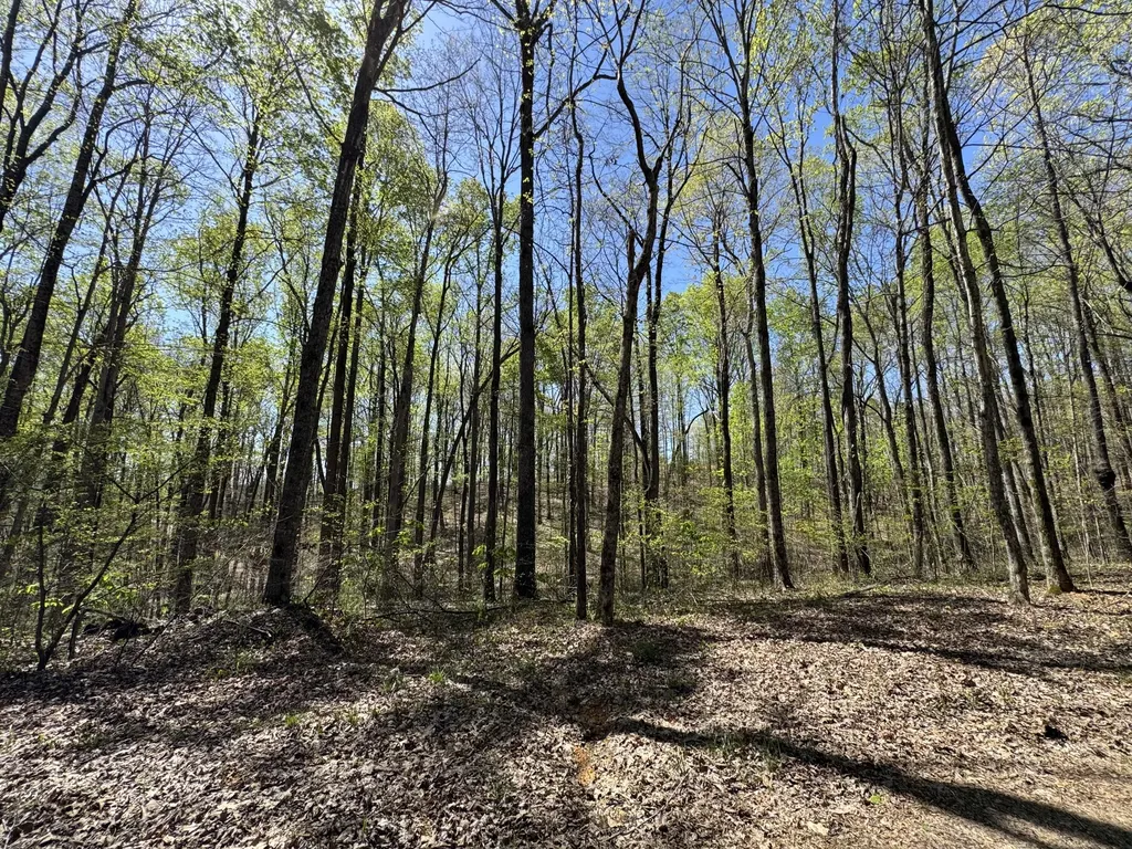 Lot 128 Sandstone Point Monticello KY 42633