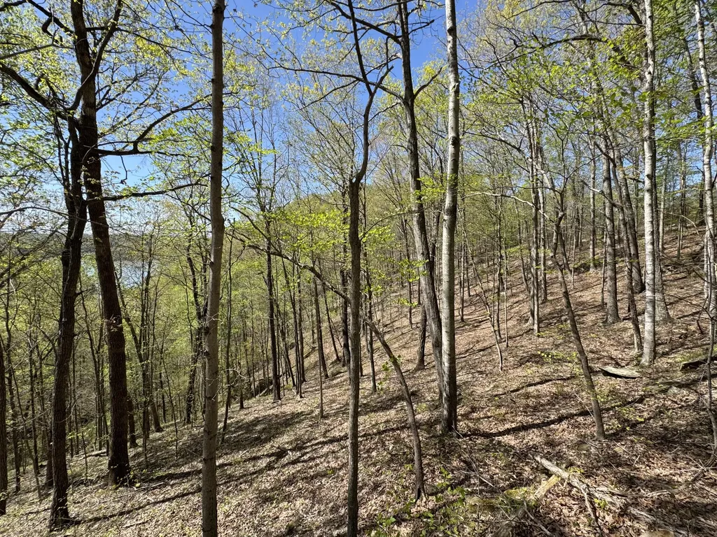 Lot 128 Sandstone Point Monticello KY 42633