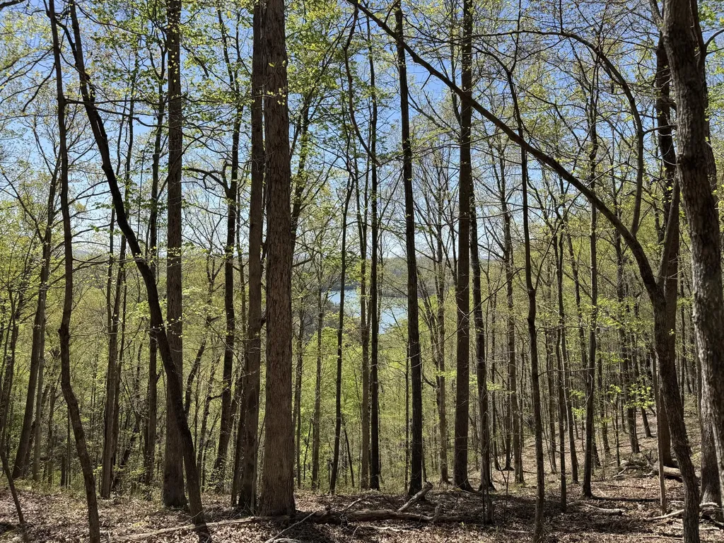 Lot 128 Sandstone Point Monticello KY 42633