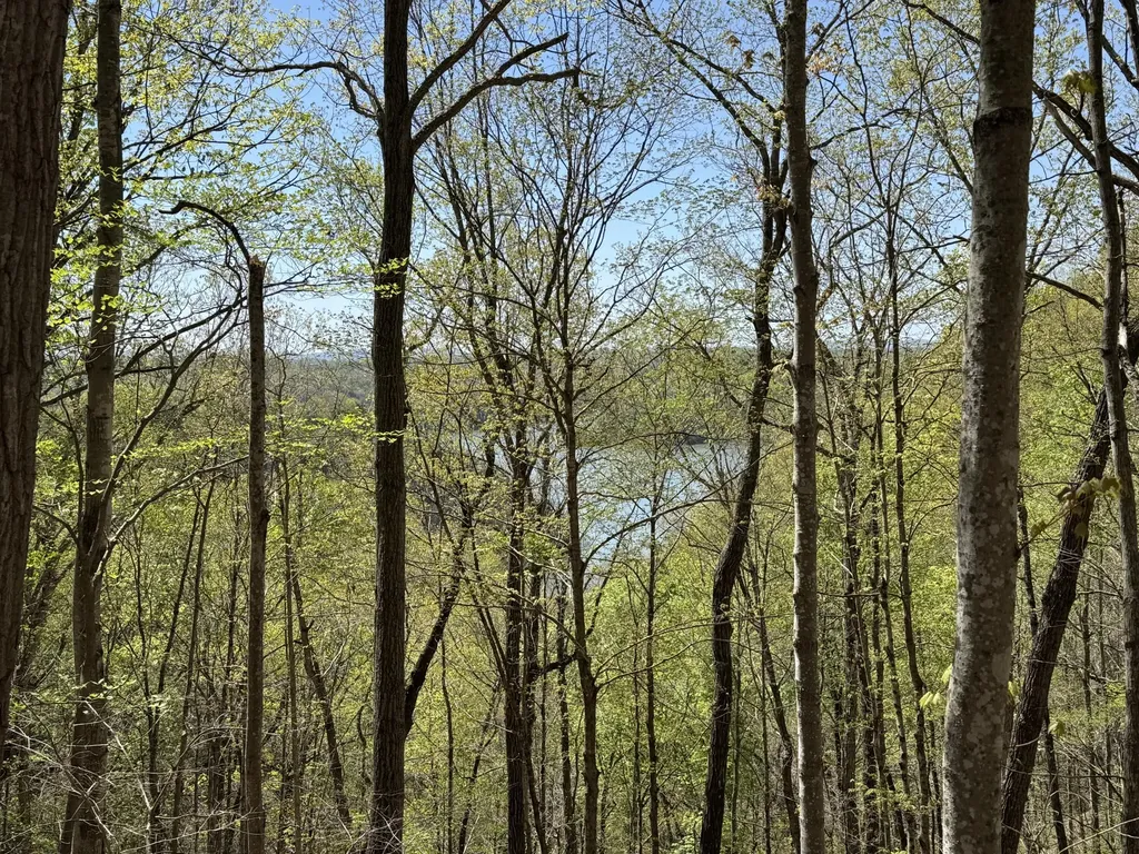 Lot 128 Sandstone Point Monticello KY 42633