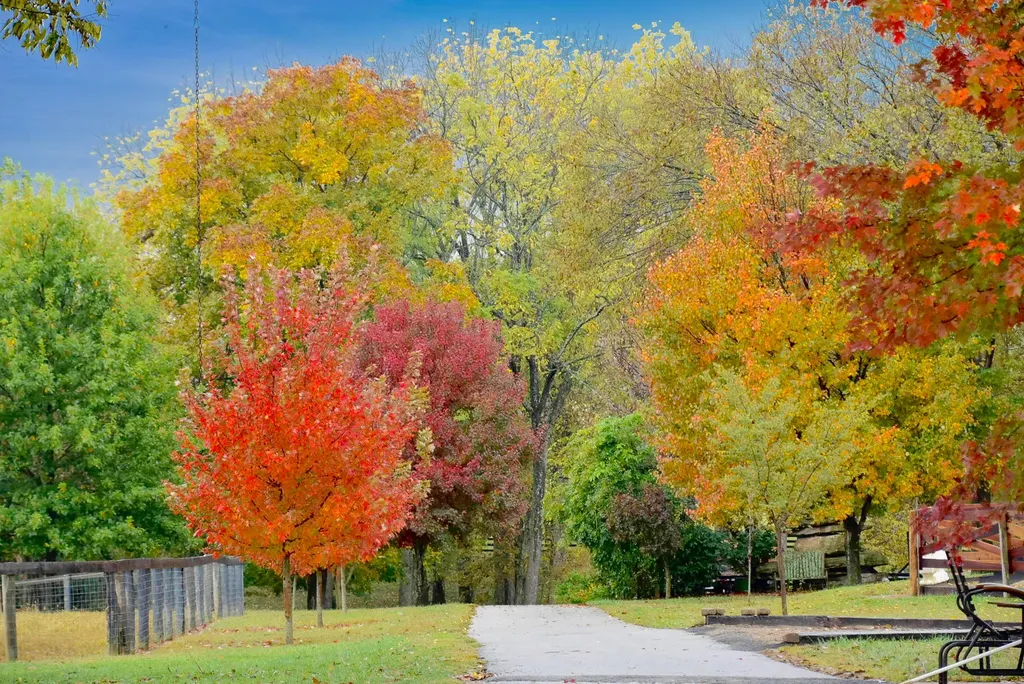 140 Seahawk Trail Midway KY 40347