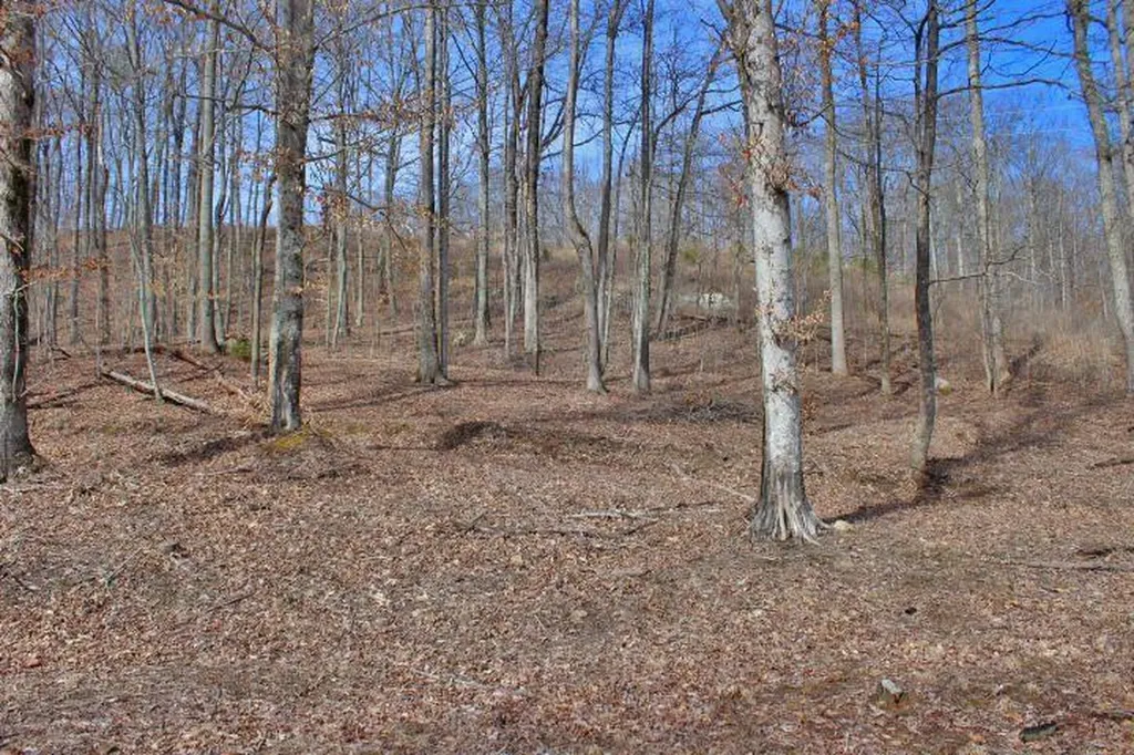 1282 Haynes Knob Road Somerset KY 42501
