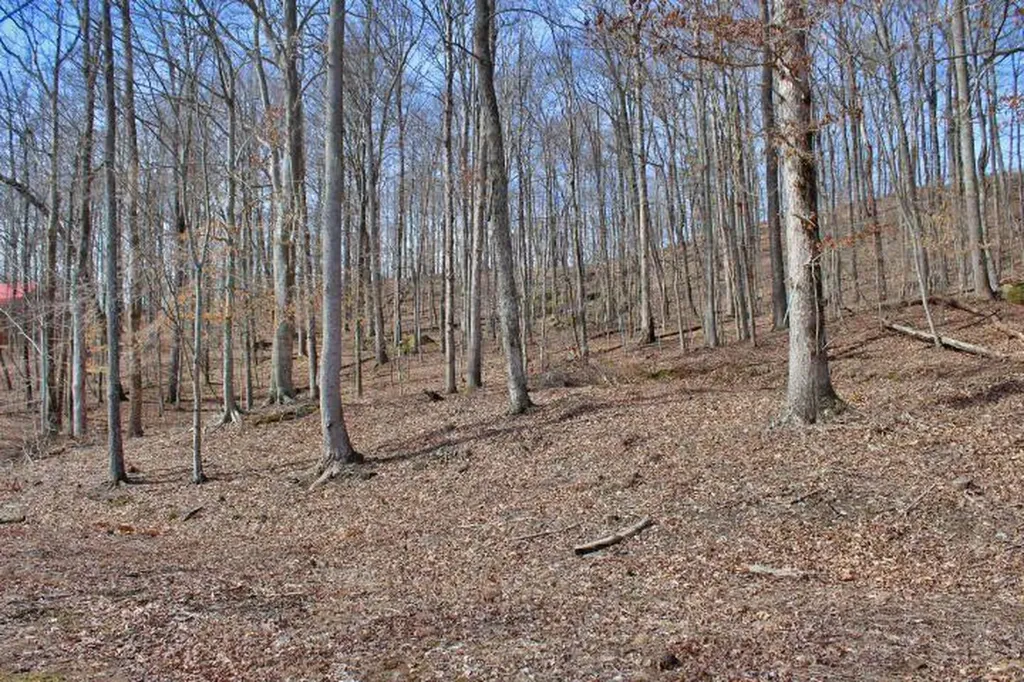 1282 Haynes Knob Road Somerset KY 42501