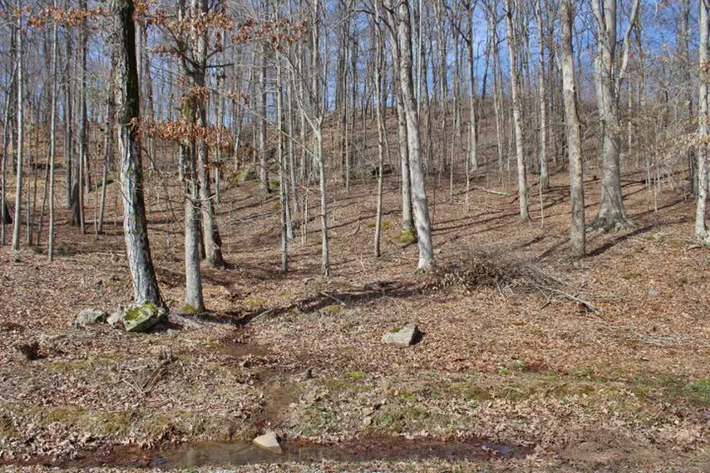 1282 Haynes Knob Road Somerset KY 42501