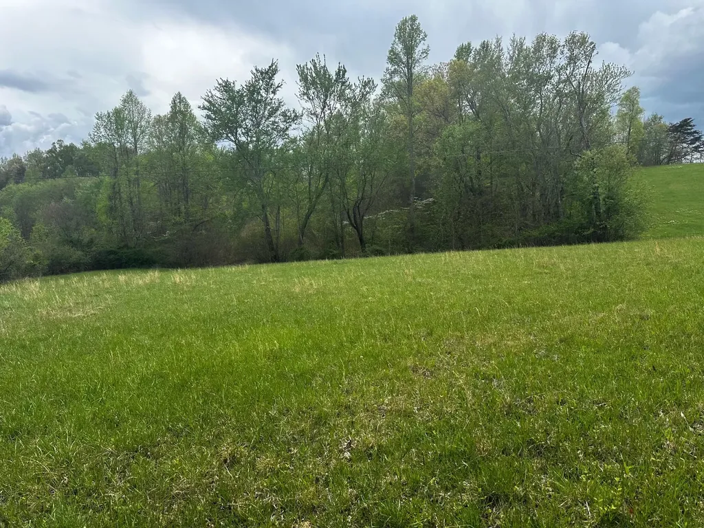 99999 Pine Hill Brock Road London KY 40741