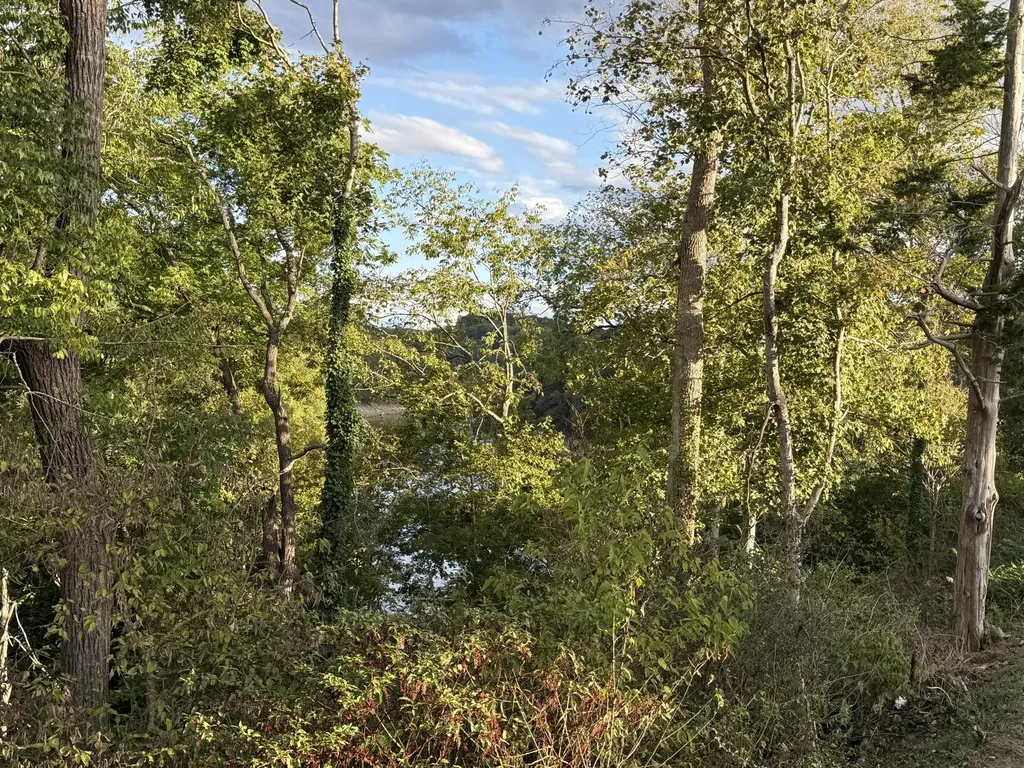 921 Boat Dock Road Somerset KY 42501