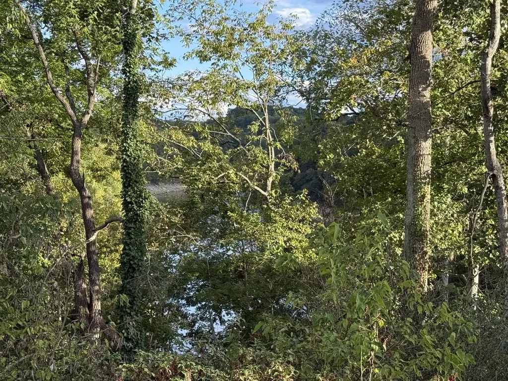 921 Boat Dock Road Somerset KY 42501