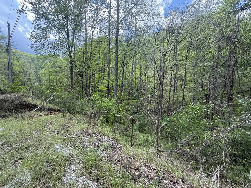 460 Bailey Branch Road Walker KY 40997