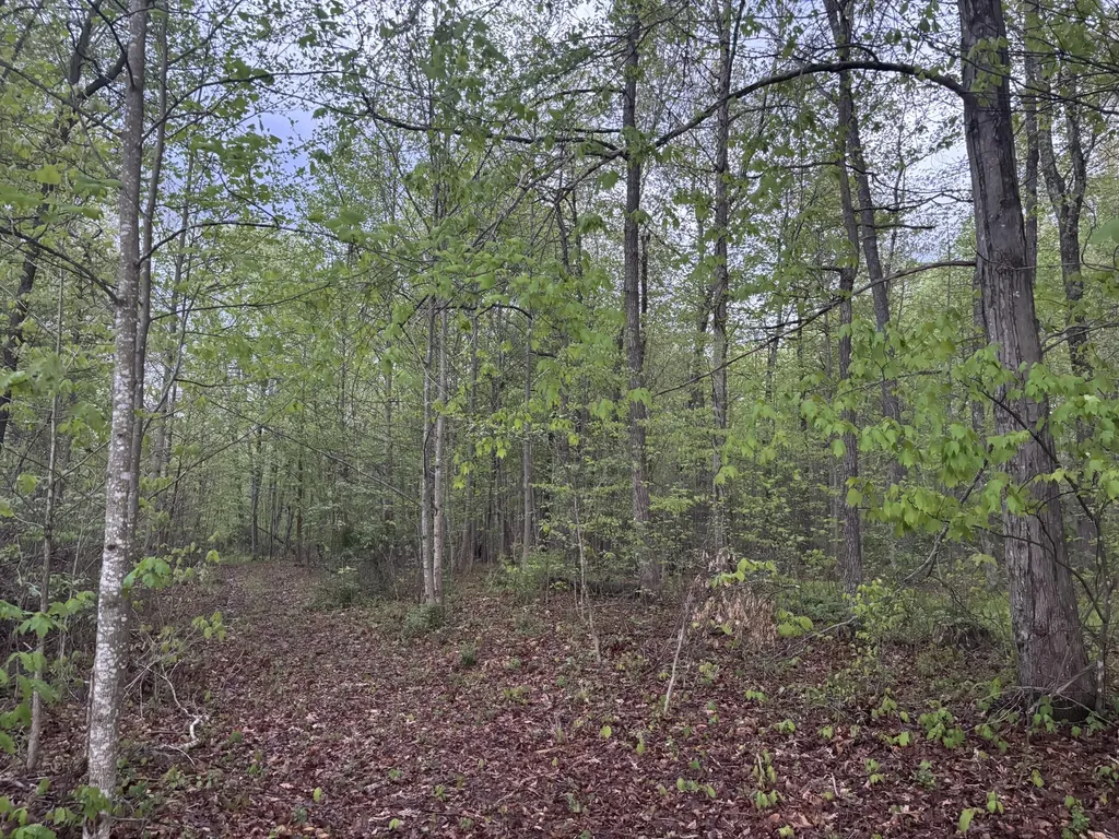 2165 Bluebank Road Morehead KY 40351