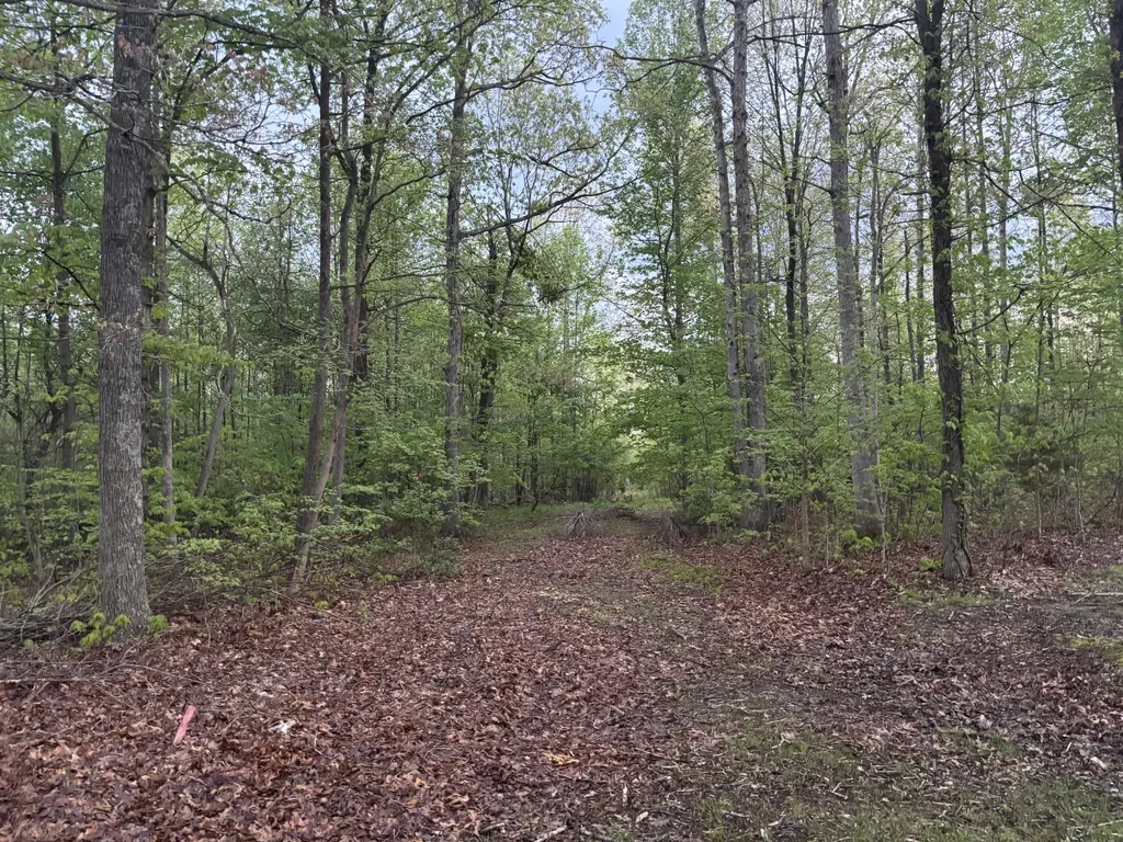 2165 Bluebank Road Morehead KY 40351