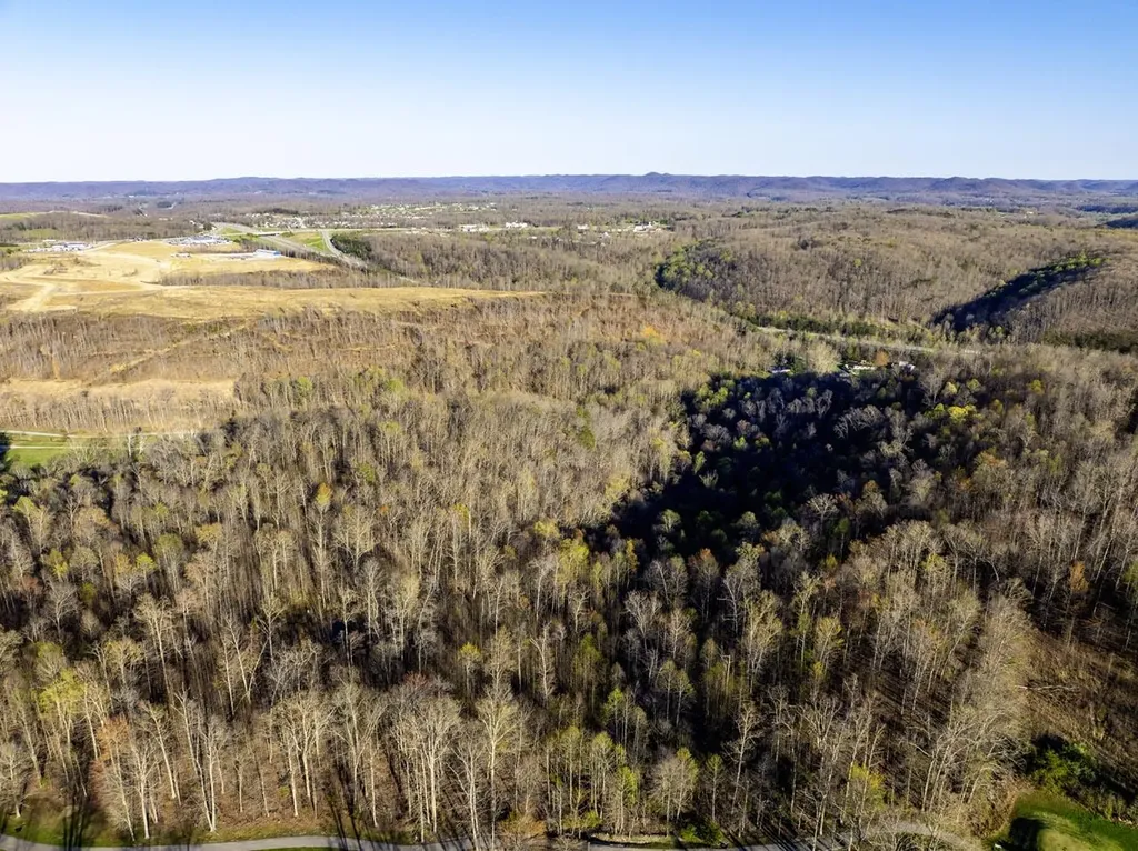 2165 Bluebank Road Morehead KY 40351