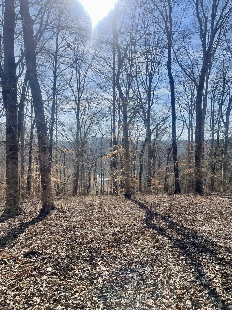 Lot 39 Captains Point Jamestown KY 42629